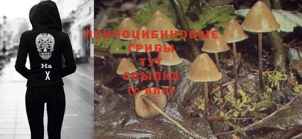 прущий лед Покров